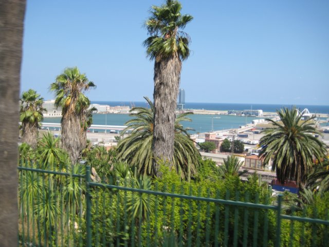 palmehavepmontjuic.jpg