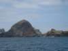 denstligedelafmadeira_small.jpg