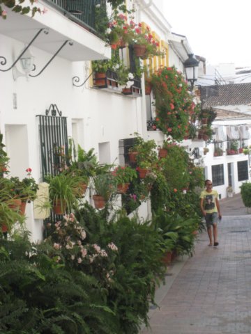 blomsteribenalmadenapueblo.jpg
