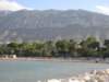 strandenidenia_small.jpg