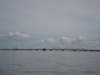 oddesundklapbrolimfjorden_small.jpg