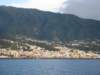 farveltillapalma_small.jpg