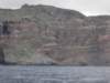 klippekystplagomera_small.jpg