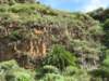 hererogsfrodigtlapalma_small.jpg