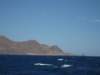 friskvindvcabodegata_small.jpg