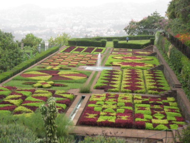 frablomsterhavenifunchal1.jpg
