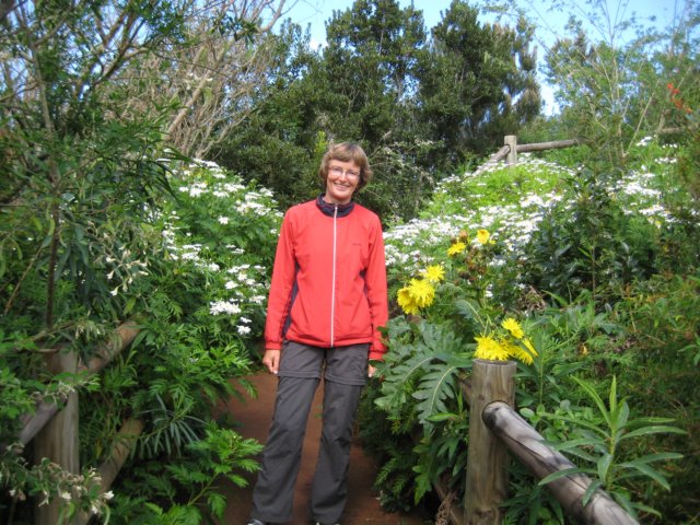 susanneblandtblomster.jpg