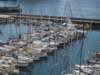 broenviliggervedplagomera_small.jpg