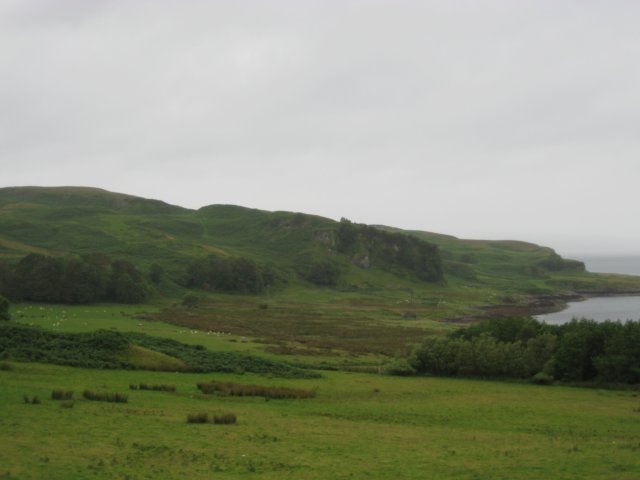 enkerrera.jpg