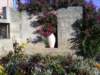 blomsterimartigues_small.jpg