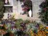 flereblomstermartigues_small.jpg