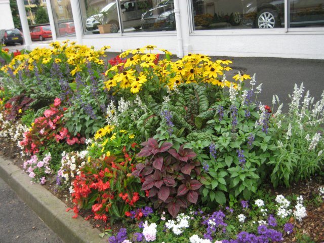 blomsterivillefranchesursaone.jpg