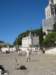 perptorvetiavignon_small.jpg