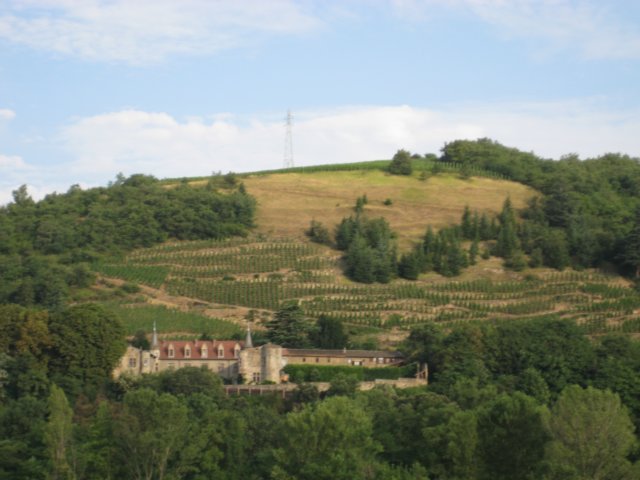 vinslotprhonen1.jpg