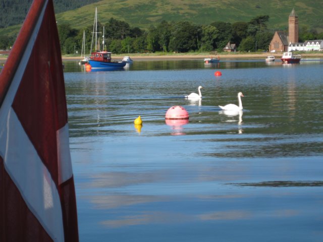 densidstemorgenvedlamlash.jpg