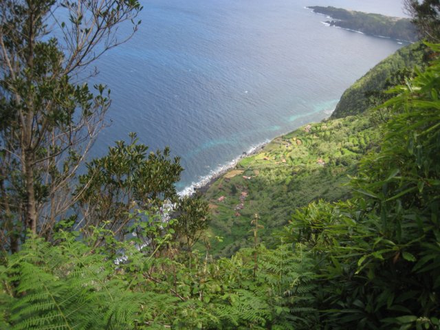 deterderviskalned600m.jpg
