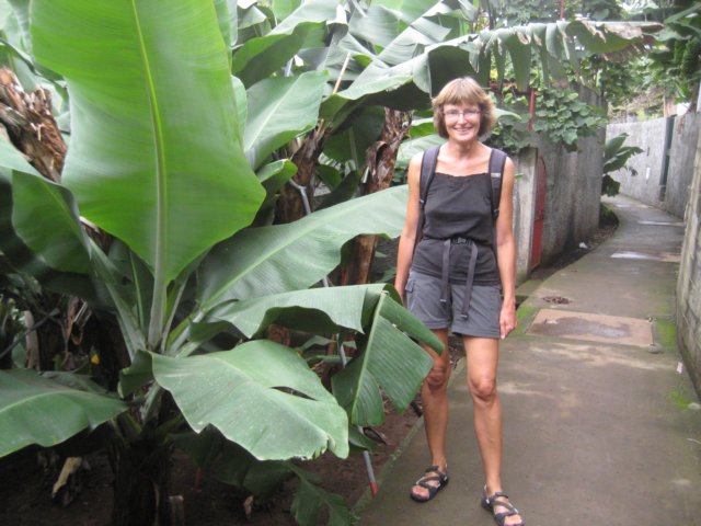 susanneveddestorebananblade.jpg