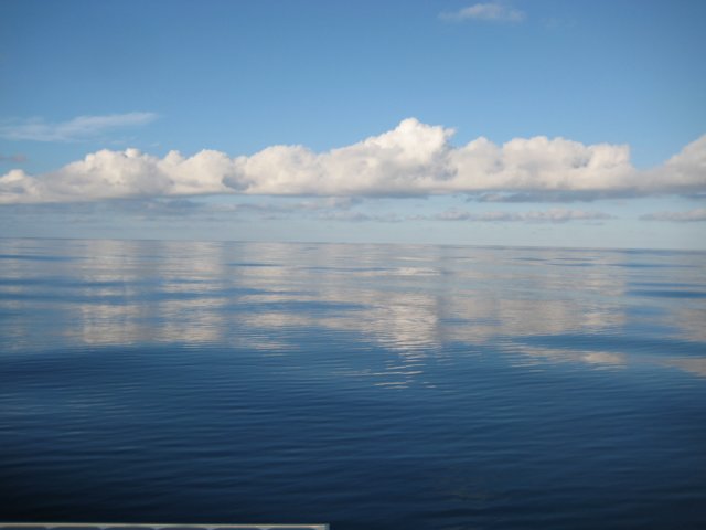 atlanterhavetmellemfunchaloggraciosa.jpg